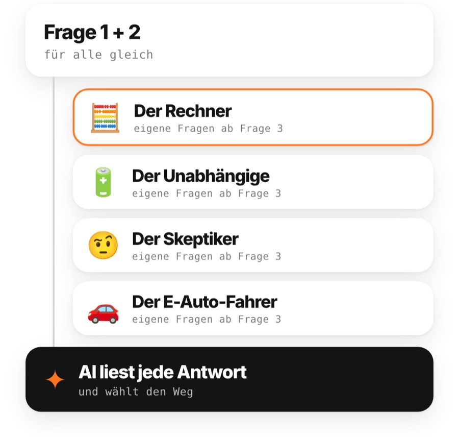Frage 1 und 2 für alle gleich, ab Frage 3 eigene Fragen pro Käufertyp